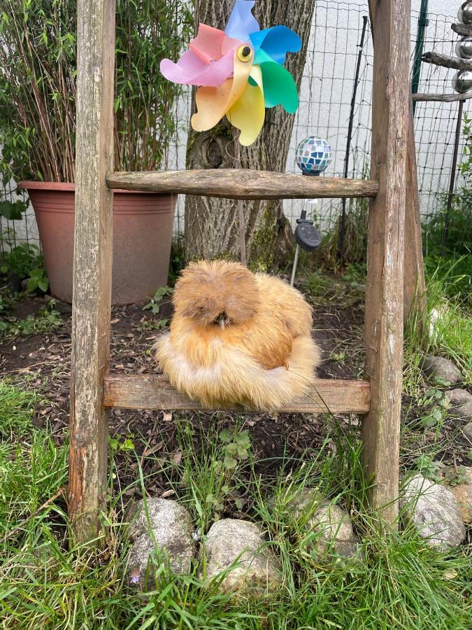 Appartamento Seidenhuhn