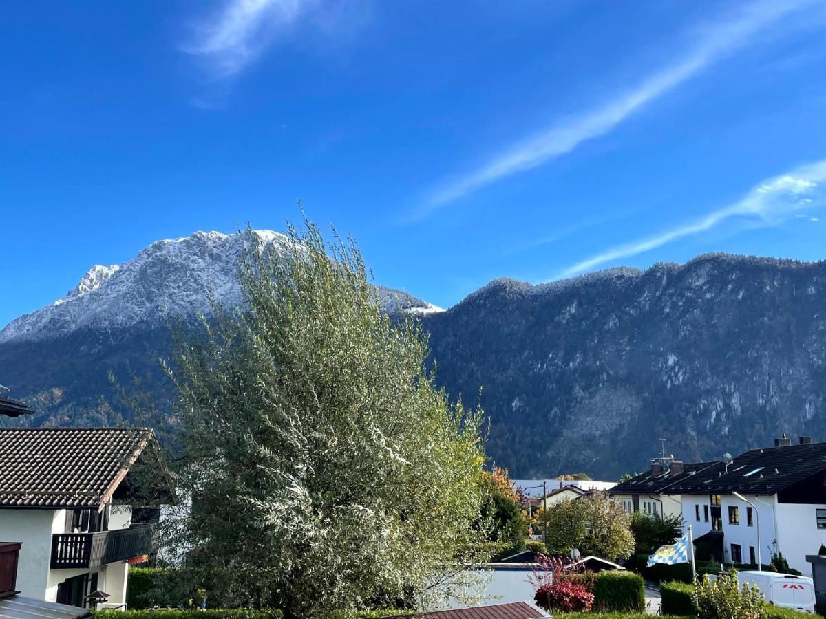 Seidenhuhn Kiefersfelden